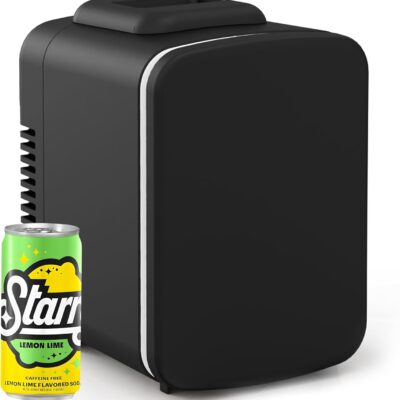 Mini Portable Cooler & Warmer Refrigerator