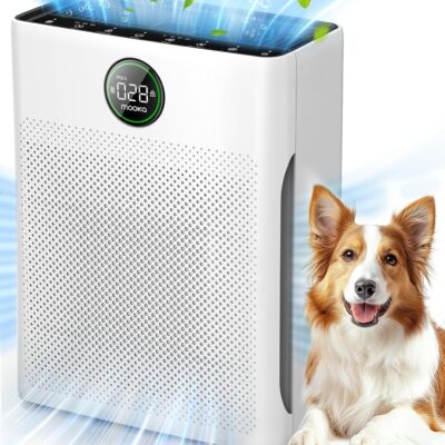 Air Purifier for Home and Large Rooms
